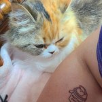 이상한 고양이 <b>타투</b>