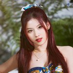 야 얘들아 사나 ㄹㅇ 구미호같지 않냐?