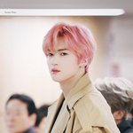 [펜타곤] 핑머에 <b>트렌치</b> 조합
