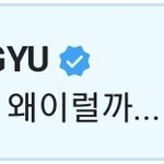 [TXT] 우리 <b>효자</b>가 짤 하나를 만들어줬어요~