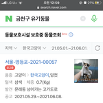 [드루와] 고양이 키우고싶은 사람 있어?