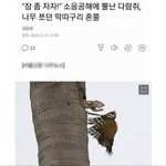 학원쌤이 계속