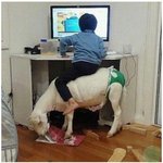 나 종아리 알 진짜 <b>개심</b>한데