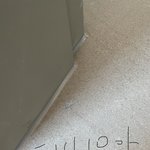 [방탈죄송] 사진 한번만 봐주시고 판단부탁드려요ㅜ