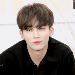 [세븐틴] 캐럿들ㅇㅏ 타팬인데 <b>영상</b>하나만 질문할게