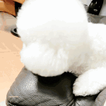 [EXO] 헐 야 오늘 <b>비비</b> 생일이래