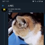 ..? 김남준 내 트친설 기정사실화