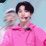 [세븐틴] <b>캐럿</b>들아