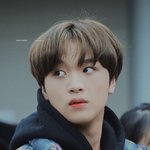 [NCT즌] 근데 저분이 찍은 해촤니 사진 개이쁘다