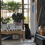 +))우리집 강쥐 <b>바깥</b> 구경중