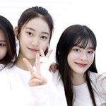 헐 위클리랑 <b>세은</b> 같이 연습생 생활했구나