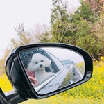 진지하게 지금 수학 하는거 의미 있을까