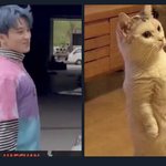[NCT즌] 아 <b>이마크</b>!!!!