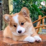 <b>연청</b>에 꾸미는 코디 알려줘 ㅠㅠㅠㅠㅠㅠ