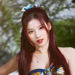<b>사나</b> 티저 사진 보고가세요~