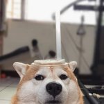 <b>90</b>확률로 귀신짤