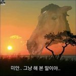 백현이랑진이랑디오랑슈가랑