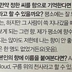 [세븐틴] 정한이 하늘색 구름도