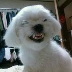 [댓글부탁해] 아니 이거 내가 잘못된거냐