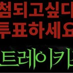 [스키즈] 스트레이<b>키즈</b>가 미쳤다! (톡선 올릴 글)