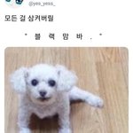 [댓글부탁해] 문과고2 비문학 <b>김</b>승리vs유대종vs김동욱