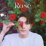 [NCT즌] 툥스타 <b>장미</b>툥