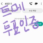[<b>아이콘</b>] 트메 투표인증