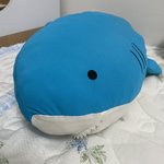 <b>여름</b>이라 <b>여름이불</b> 꺼냈당