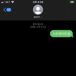 이번 킹덤 문자투표 실수 있음??