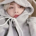 [세븐틴] 나 후드<b>쿱스</b> 사랑하네