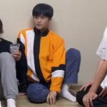 [NCT즌] <b>경계심</b> 가득 고양이