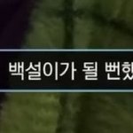 <b>SM</b> 캐해석 보이는 윈터 예명 후보