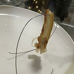 플레이팅에 세계관 <b>뚜렷</b>한 사장님