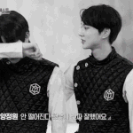 엔하이픈 <b>캐해</b>