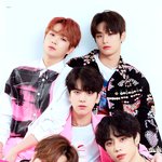 더보이즈 <b>비쥬</b>얼라인 덥뮤다선학