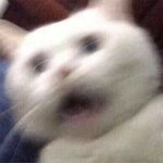 [댓글부탁해] 하.. 얘들아 짝<b>남이</b> 관심 없었는데