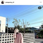 [NCT즌] 런쥔이랑 <b>양양</b>이랑 놀러갔나봐