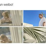 [<b>NCT</b>즌] 엥시리 안 인별감성 탑