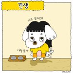 [강아지] 강아지로 환생한 이야기...