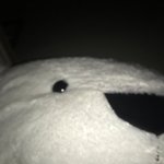 헐 야 <b>개</b>무섭지