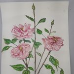 [19] 내가 그린 <b>그림</b> 보고가실??
