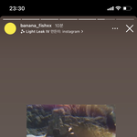 [NCT즌] 와 재현이 <b>사자</b>다 이거