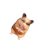 아 잼<b>민이</b>들 신났네