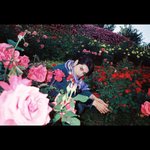 [NCT즌] 아 로즈 뭔데 돌<b>겜</b>ㅅ네