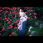 [NCT즌] 역시 대장<b>장미</b> 이태용