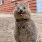 이노래 기억나는분 핫삐<b>소바</b>