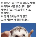 <b>Mbti</b> J들아 궁금한거 있엉