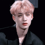 [스키즈] 내 기준 찬이 사진 <b>투탑</b>