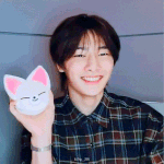 [스키즈] <b>폭시</b>니랑 아강잉