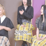 [로켓펀치] 진짜 고양이가 되고싶었던 아이돌